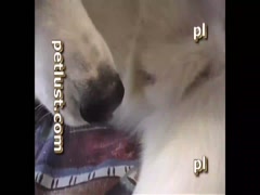 Thumb 18