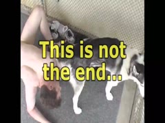 Thumb 20
