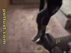 Petlust - Outside Tie