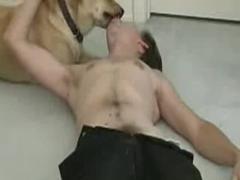 complaciendo al dueño