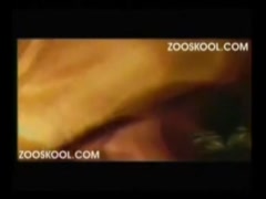 ZoosKool - Harrie - Laying With Harrie