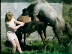 Animal Zoo - Bizarre - Farm Sex