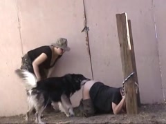 Caledonian - Interrogating KC