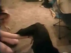 Caledonian - Kittens Second Time