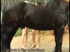 Porn with a horse in Jakarta