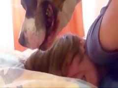 Russian girl takes dog in the ass - Bestialitysextaboo - Animal Bestiality->