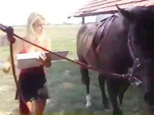 Horse sex story