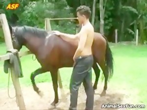 Pferd frau sex A girl