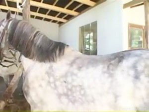 Ida and Horse IDAPRIVATE 2