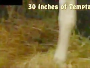 Ultimate Zoo Mix 3 - Just Horses