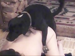 Beautiful Woman Fucks Dog - Most Relevant Videos - dog fuck woman - Bestialitysextaboo - Animal  Bestiality