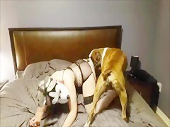Sexy angelic blonde sucks dog's monster cock in the bed