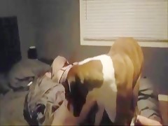 Slutty bitch has removed the panties from her pussy so that the dog has fuck her cunt