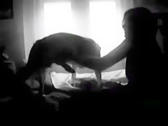 Mexican dog fuck my wife porn Shocking Video Of A Dog Appropriating A Mexican Prostitute Bestialitysextaboo Animal Bestiality