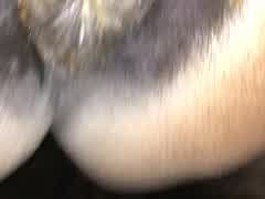 240px x 180px - Amateur rimming licking fingering Male dirty horse Ass ...