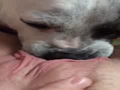 Thumb 4