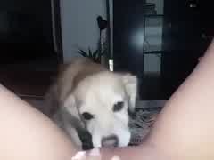 Dog and girl private video