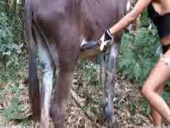 NEW MOVIES SECRET GROUP