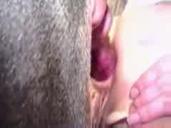 Thumb 5