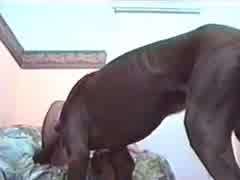 The beast of animal with woman