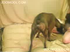 240px x 180px - Knotty Saria dog sex xxx - Bestialitysextaboo - Animal Bestiality