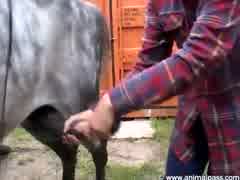 Ninfeta na Fazenda com seu Garanhão