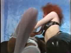 Neuken in de keuken met de hond