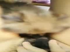 Dog lick her cunt