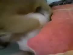 Wife gets anal from lucky dog