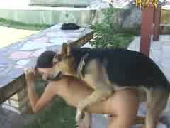 Iniciação do Cão de Estimação