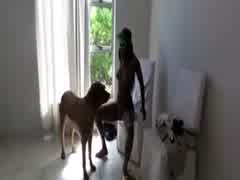 Ebony dog porn - Zoo Tube