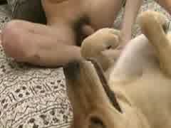 Homem fodendo sua  amante Cadela