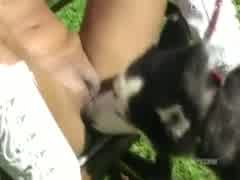 Paola fuck dog in the garden