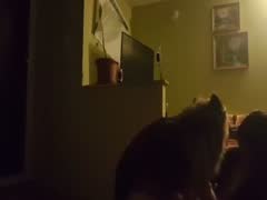 Me and my Dog in webcam - Bestialitysextaboo - Animal Bestiality