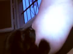 Coletânea de Amadoras Amamentando  Animais