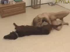 Mamada Erótica da Ninfeta no Cão Pirocudo