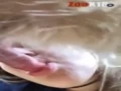 Sexo oral al aire libre