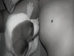 Puffy nipples girl licked by puppy dog