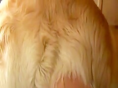 Thumb 18