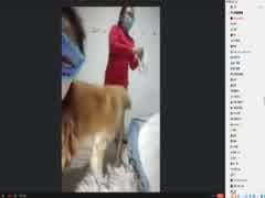 Two Sexy Girls On Webcam With Dog - Bestialitysextaboo - Animal Bestiality