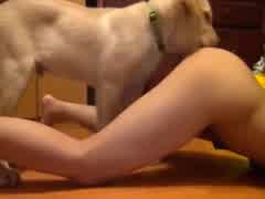 Playing With Homemade Dog For Webcam