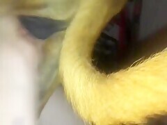 Thumb 15