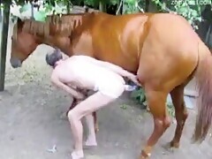 Ass fucked gay with cock of horse
