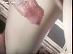 Thumb 7