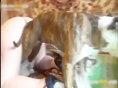 Thumb 13