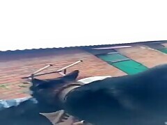 Thumb 6