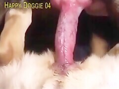 Thumb 19