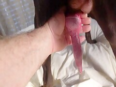 Thumb 17