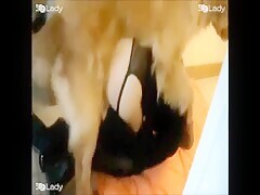 Thumb 13