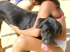 Beauty Anal Fucking With Dog